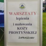 Udział LGD „ZIELONE SIOŁO” w Dożynkach Gminno-Parafialnych w Małkini Górnej