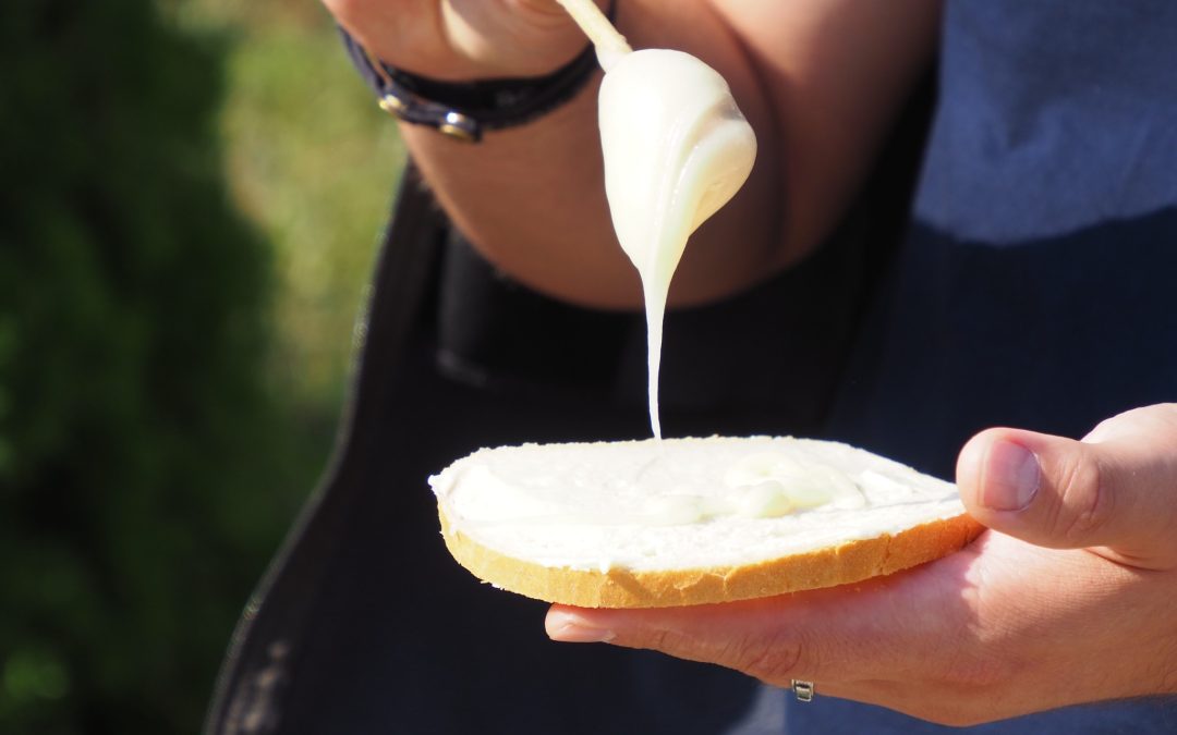 Wszystko wokół pasieki – szkolenie dla początkujących i już praktykujących pszczelarzy