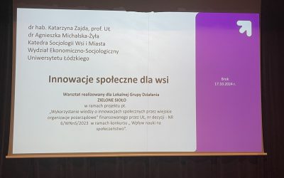 Innowacje społeczne dla wsi – koncepcja Smart Village