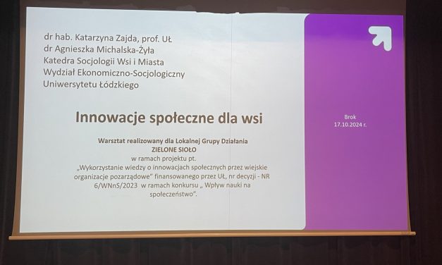 Innowacje społeczne dla wsi – koncepcja Smart Village